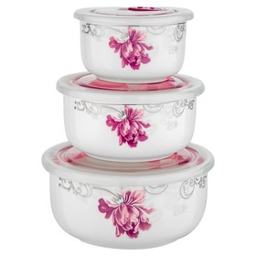 

Набор контейнеров Flower, с вакуумной крышкой