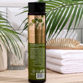 

Шампунь Восстановление и блеск волос Luxury Oils , 350 мл