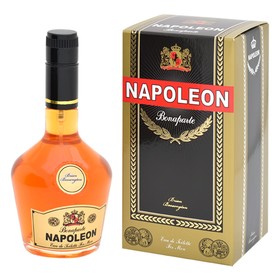 

Туалетная вода мужская Napoleon Bonaparte, 90 мл