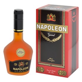 

Туалетная вода мужская Napoleon Grand, 90 мл