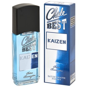

Туалетная вода мужская Chale Best Kaizen, 95 мл