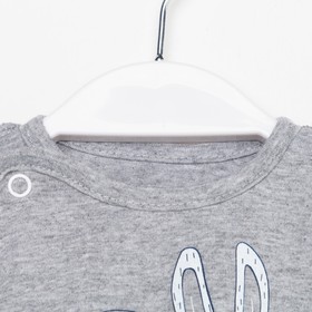 

Распашонка детская А. 136-01/9, цвет серый/заяц, рост 62-68 см