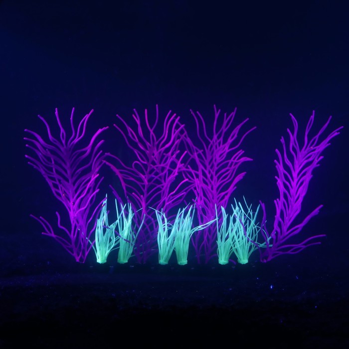 фото Растение силиконовое аквариумное, светящееся в темноте, 17 х 12 см, фиолетовое
