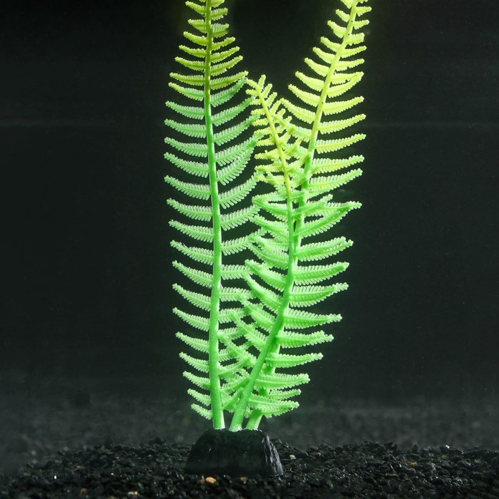 фото Растение силиконовое аквариумное, светящееся в темноте, 8 х 23 см, зелёное