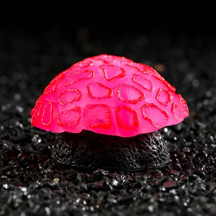 Декор для аквариума коралл Faviidae, 5 х 2,5 см, силиконовый, розовый paulo maskoni декор для аквариума коралл силиконовый светящееся в темноте 5 5 х 10 х 13
