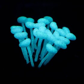 

Декор для аквариума анимон Plerogyra sinuosa силиконовый, 5 х 7 х 5 см, фиолетовый