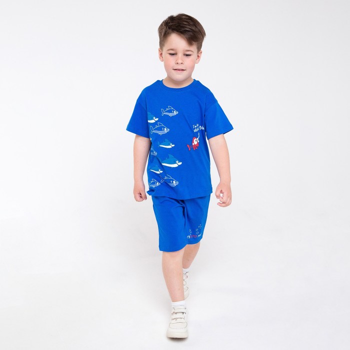 фото Комплект (джемпер/шорты) для мальчика, цвет синий, рост 110 см basia