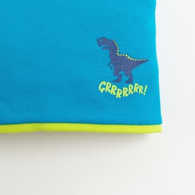 

Шапка для мальчика Р1046-5563, цвет бирюзовый/зеленый (50)