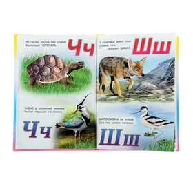 

Учебник для малышей «Живая Азбука»