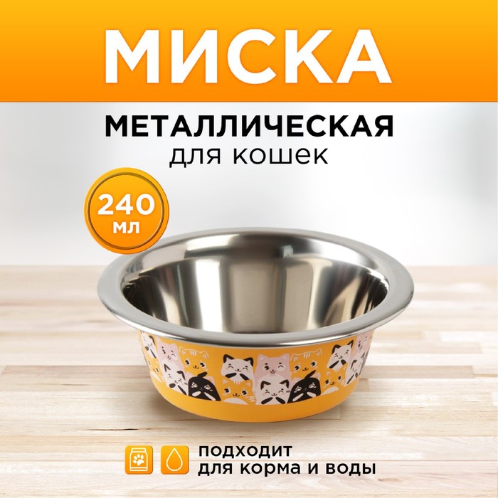 Миска металлическая для кошки «Котики», 240 мл, 11х4 см миска металлическая для кошки котики 240 мл 11х4 см