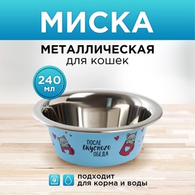 Миска металлическая для кошки «После вкусного обеда», 240 мл, 11х4 см Ош