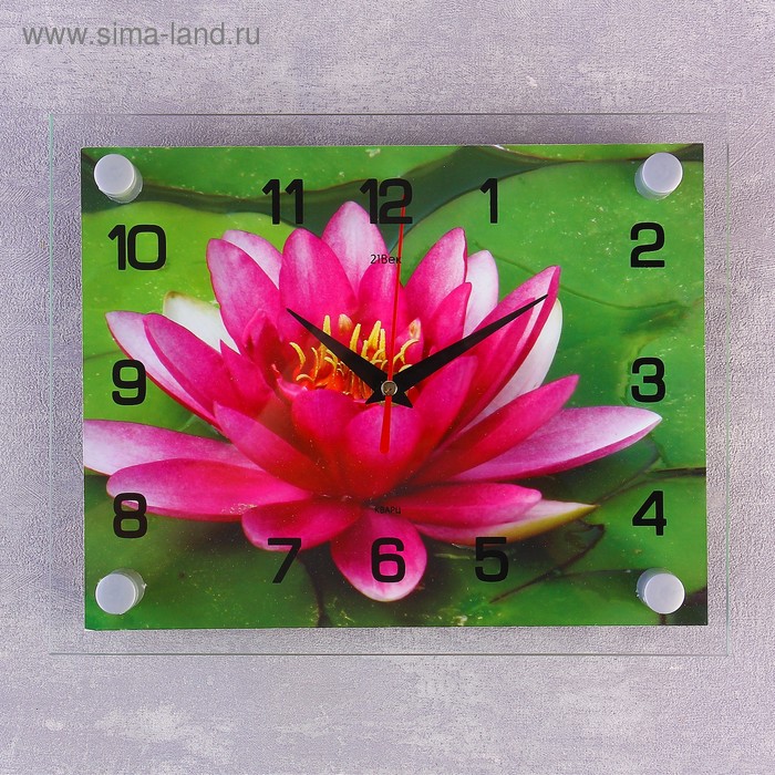 Часы-картина настенные, серия: Цветы, Розовый лотос, 20х26 см