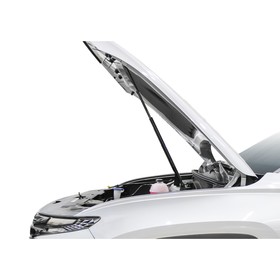 

Газовые упоры капота АвтоУпор, Hyundai Tucson IV 2021-н.в., 2 шт., UHYTUC021