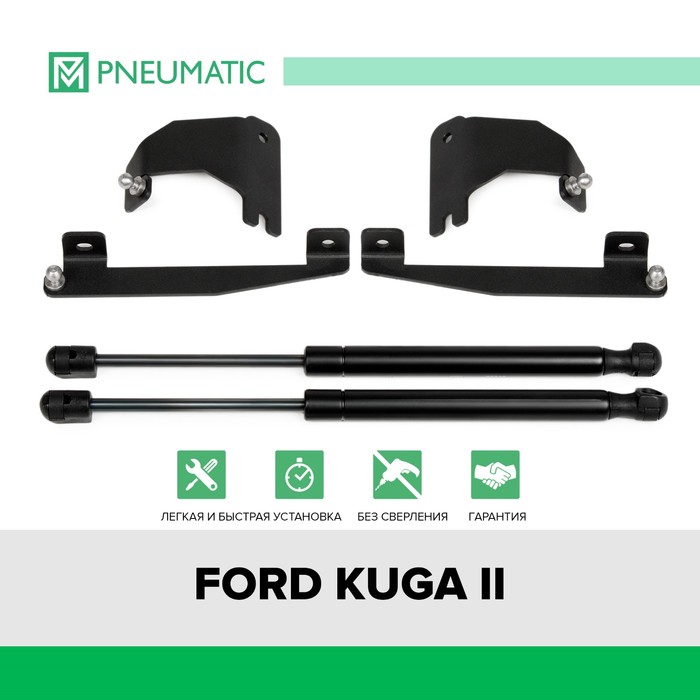 Газовые упоры капота Pneumatic, Ford Kuga II 2013-2019, 2 шт., KU-FD-KG02-02