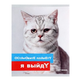 

Тетрадь 48 листов, клетка, "Беседы с котами", белый обоорот, блок 90% белизны, МИКС 5 видов