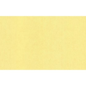 

Обои горячего тиснения на флизелине Аспект 70361-13, 1,06*10,05м