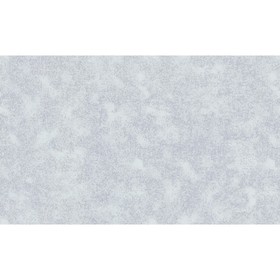 

Обои вспененый винил на флизелине VOG Collection 50013-65, 1,06*10,05м