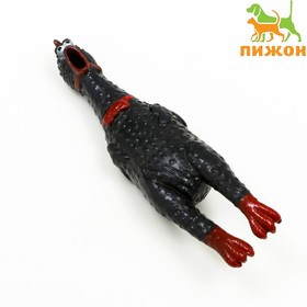 Игрушка пищащая "Задумчивая курица" малая для собак, 16,5 см, чёрная