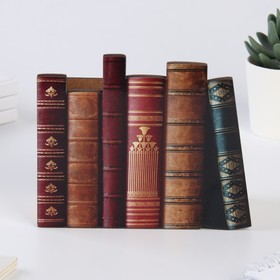 

Органайзер "Книги", 15 х 13 см