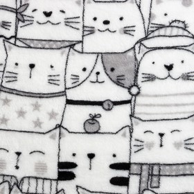 

Плед Этель «Котики» 175х200 см, велсофт, 190 гр/м2, 100% полиэстер