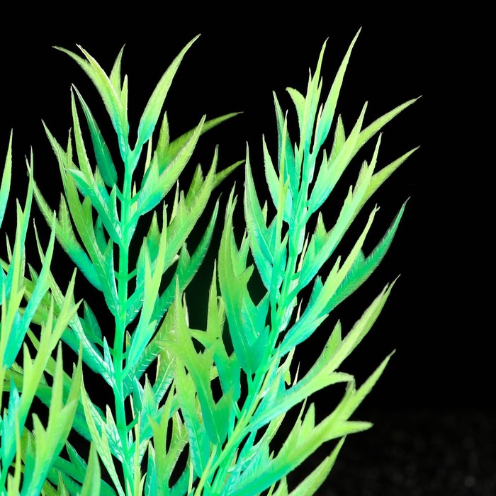 фото Растение искусственное аквариумное, светящееся, 20 см, зелёное пижон аква