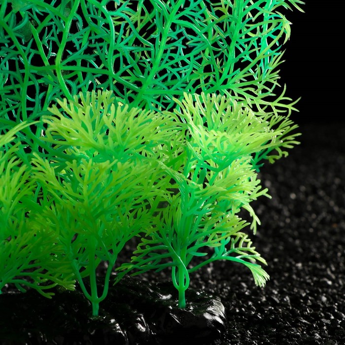 фото Растение искусственное аквариумное, светящееся, 23 см, зелёное пижон аква