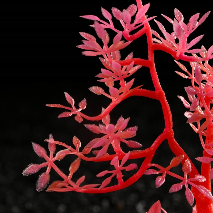 фото Растение искусственное аквариумное, светящееся, 10 см, красное пижон аква