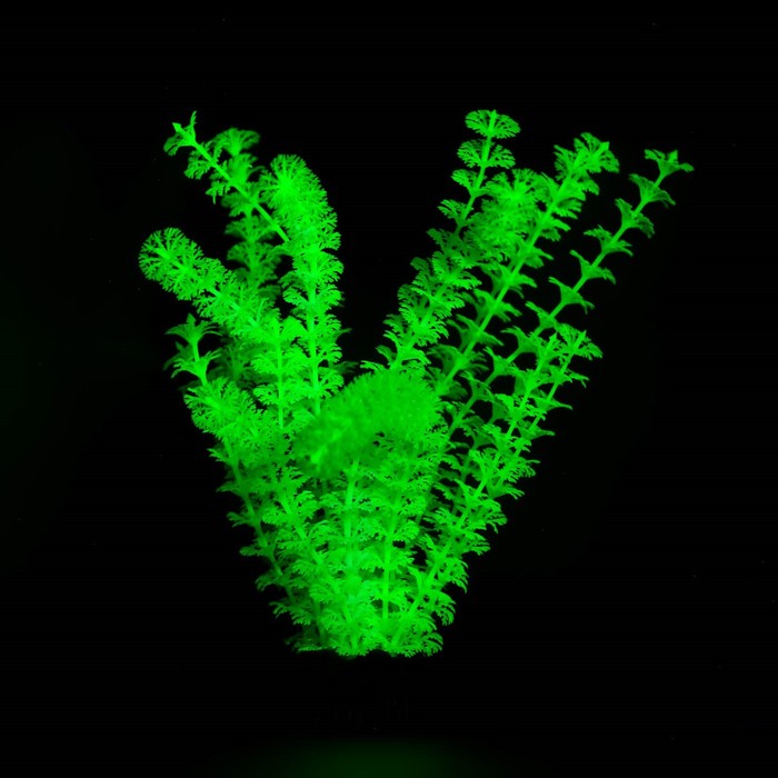 Растение искусственное аквариумное, светящееся, 18 см, зелёное