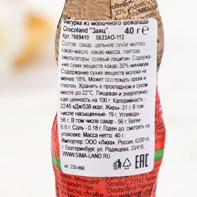 

Фигурка из молочного шоколада Chocoland "Заяц", 40 г