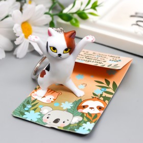

Брелок PVC "Пятнистая танцующая кошечка" 12х3,5 см