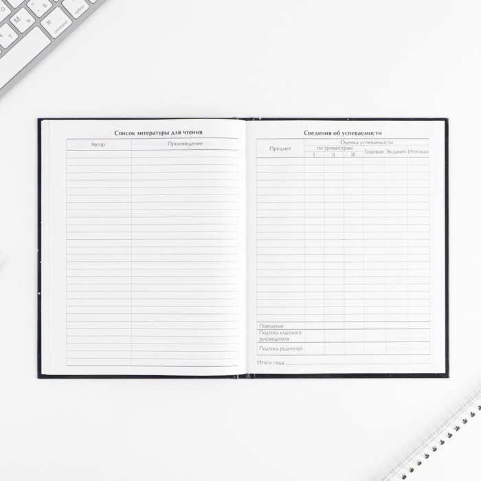 Дневник школьный для 1-11 класса, в твердой обложке, 40 листов, «Космонавт» 7558210