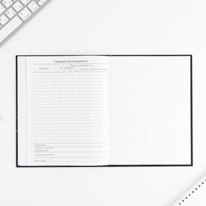 Дневник школьный для 1-11 класса, в твердой обложке, 40 листов, «Космонавт» 7558210