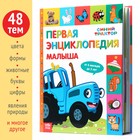 Миниатюра