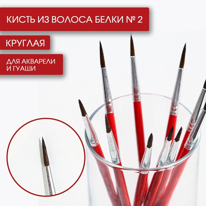 Кисть для рисования из волоса белки круглая № 2 короткая ручка