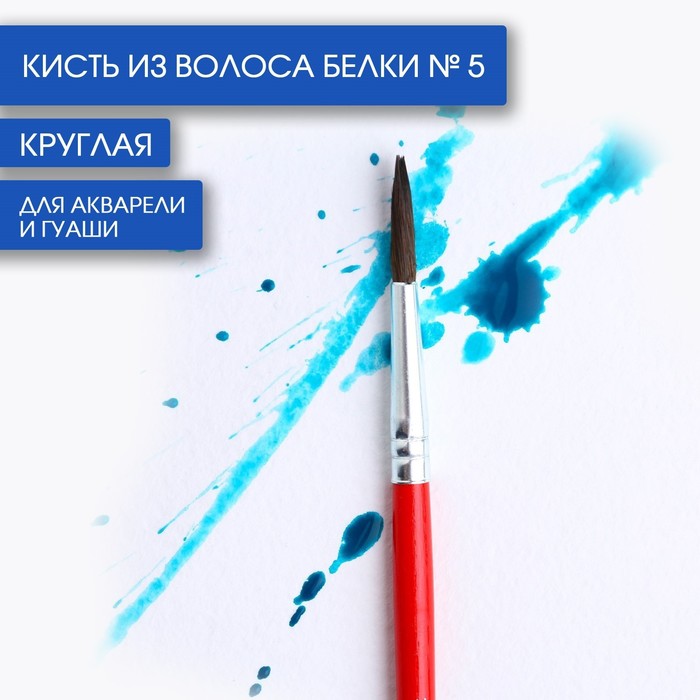 Кисть для рисования из волоса белки круглая № 5 короткая ручка