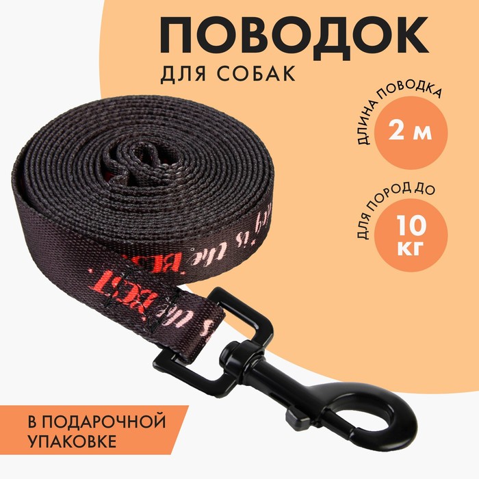 Поводок My dog is the best 2 см 2 м 99₽