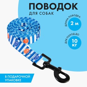 Поводок "Для большого путешествия", 2 см 2 м