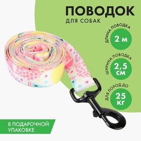 Поводок"СОЧНОЕ НАСТРОЕНИЕ", 2.5 см, 2 м