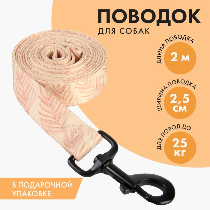 Поводок Paradise life, застёжка - фастекс, 2.5 см, 2 м