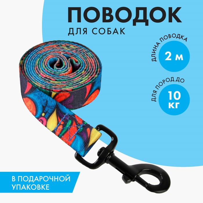 Поводок «Невозможно слиться с улицей», 2.5 см, 2 м