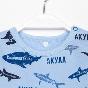 

Футболка для мальчика, цвет голубой, рост 80 см