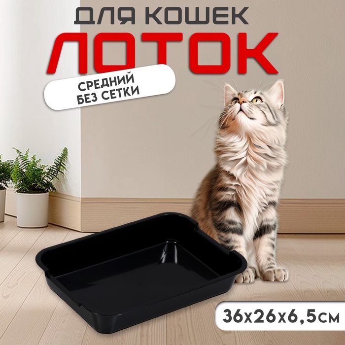 

Туалет средний без сетки 36 х 26 х 6,5 см, чёрный