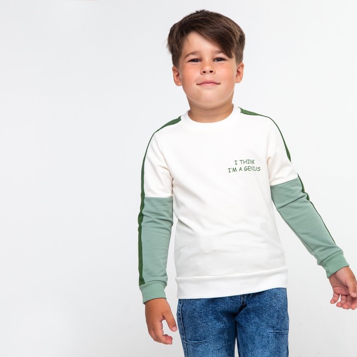 Свитшот для мальчика, цвет серо-зелёный, рост 110 см лонгслив для мальчика цвет зелёный рост 110 см