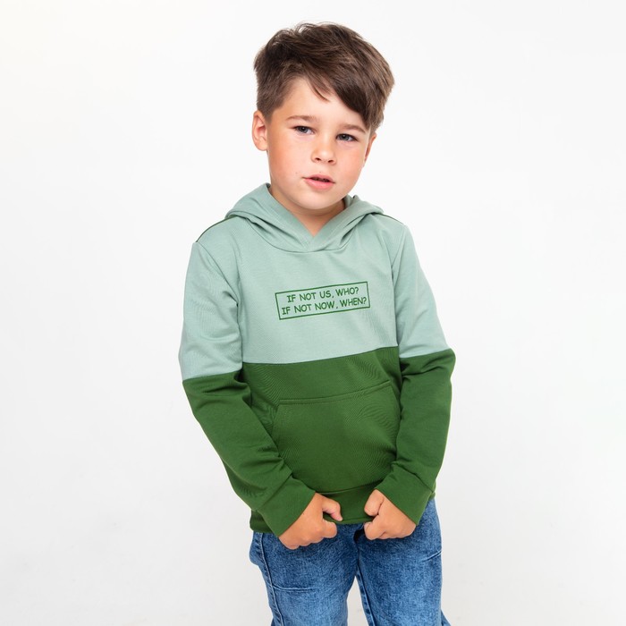 фото Толстовка для мальчика, цвет серо-зелёный, рост 104 см мануфактурная лавка