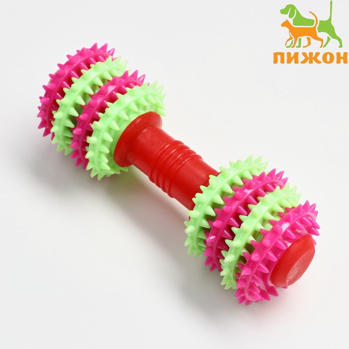 

Игрушка жевательная 15,5 х 5,5 см, красная/розовая/зелёная