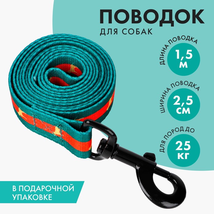 Поводок «На стиле», 2.5 см, 1.5 м