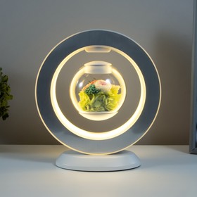 

Ночник левитирующий "Лунная роза" LED 3 вт 3000К белый 24х22 см