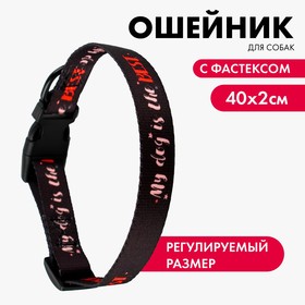 Ошейник "My dog is the best", 2 см 25-40  см