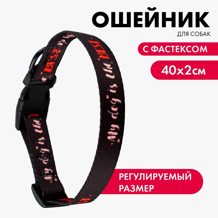 Ошейник My dog is the best застёжка - фастекс 2 см 25-40 см 89₽