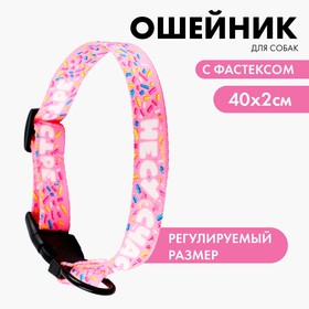 Ошейник "НЕСУ СЧАСТЬЕ", 2 см 25-40  см